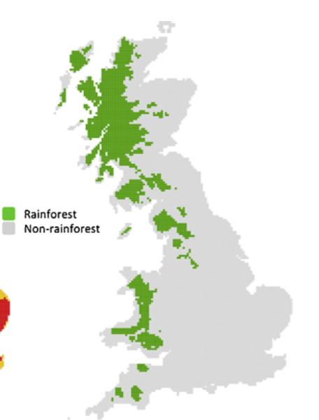 Missing In Action Natural Climate Solutions In England S National   Policy National Park Image 